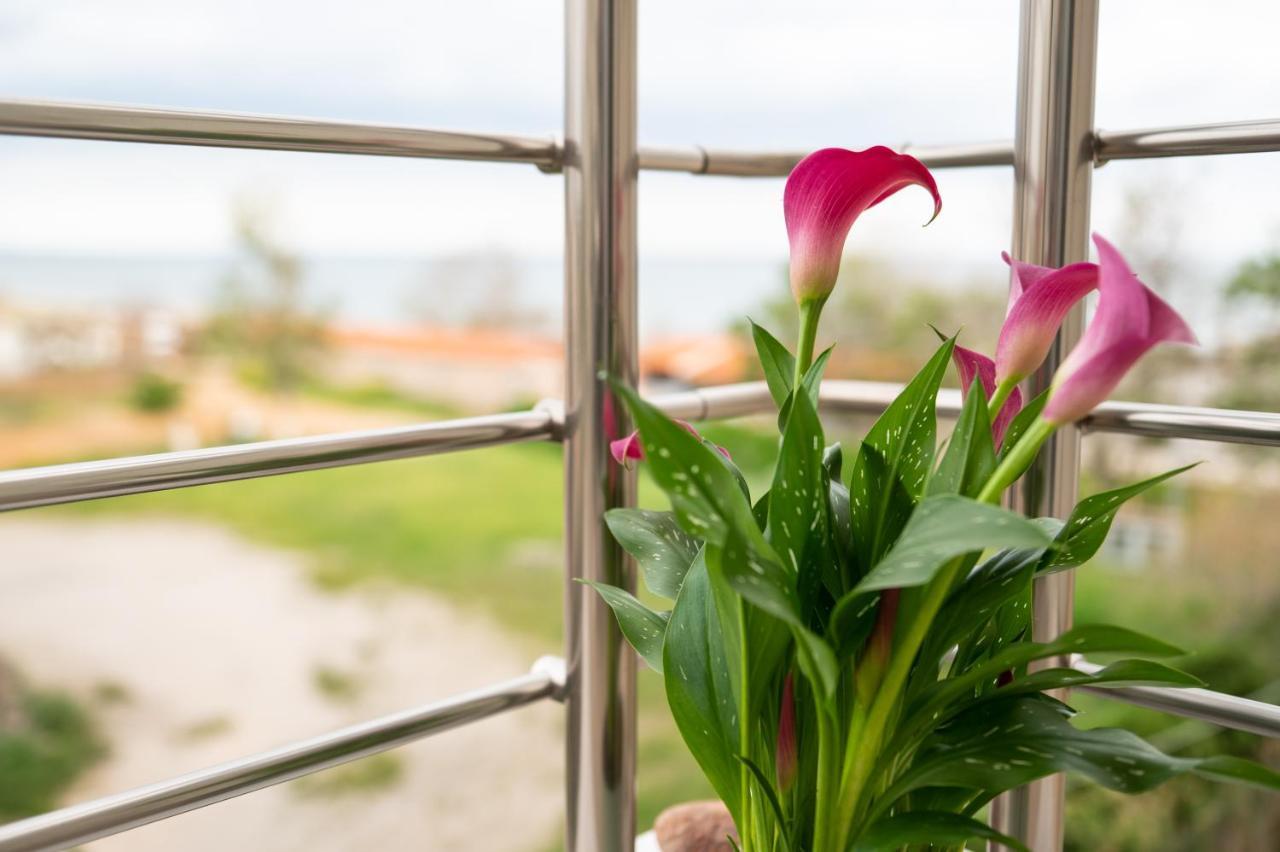 The View Apartment Alexandroúpolis Ngoại thất bức ảnh